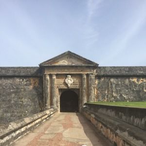 Meet your Posher, Timothy